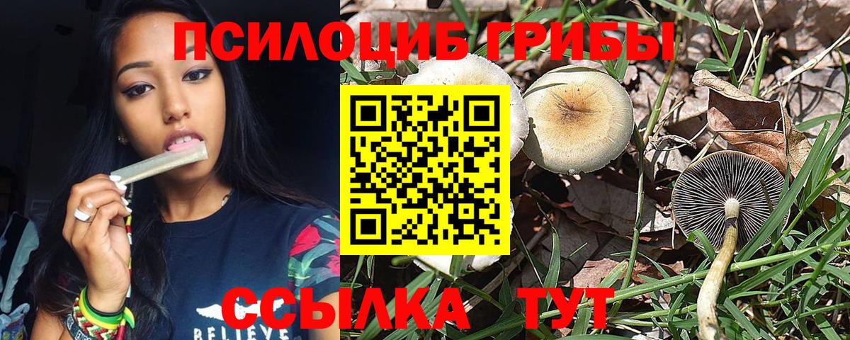 Салехард  Галлюциногенные грибы Magic Shrooms  Вход с VPN  Псилоцибиновые грибы мицелий 